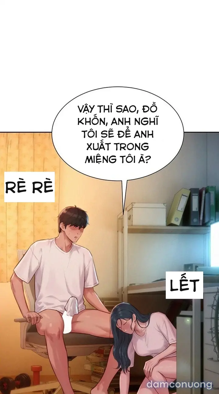 Harem tư bản 