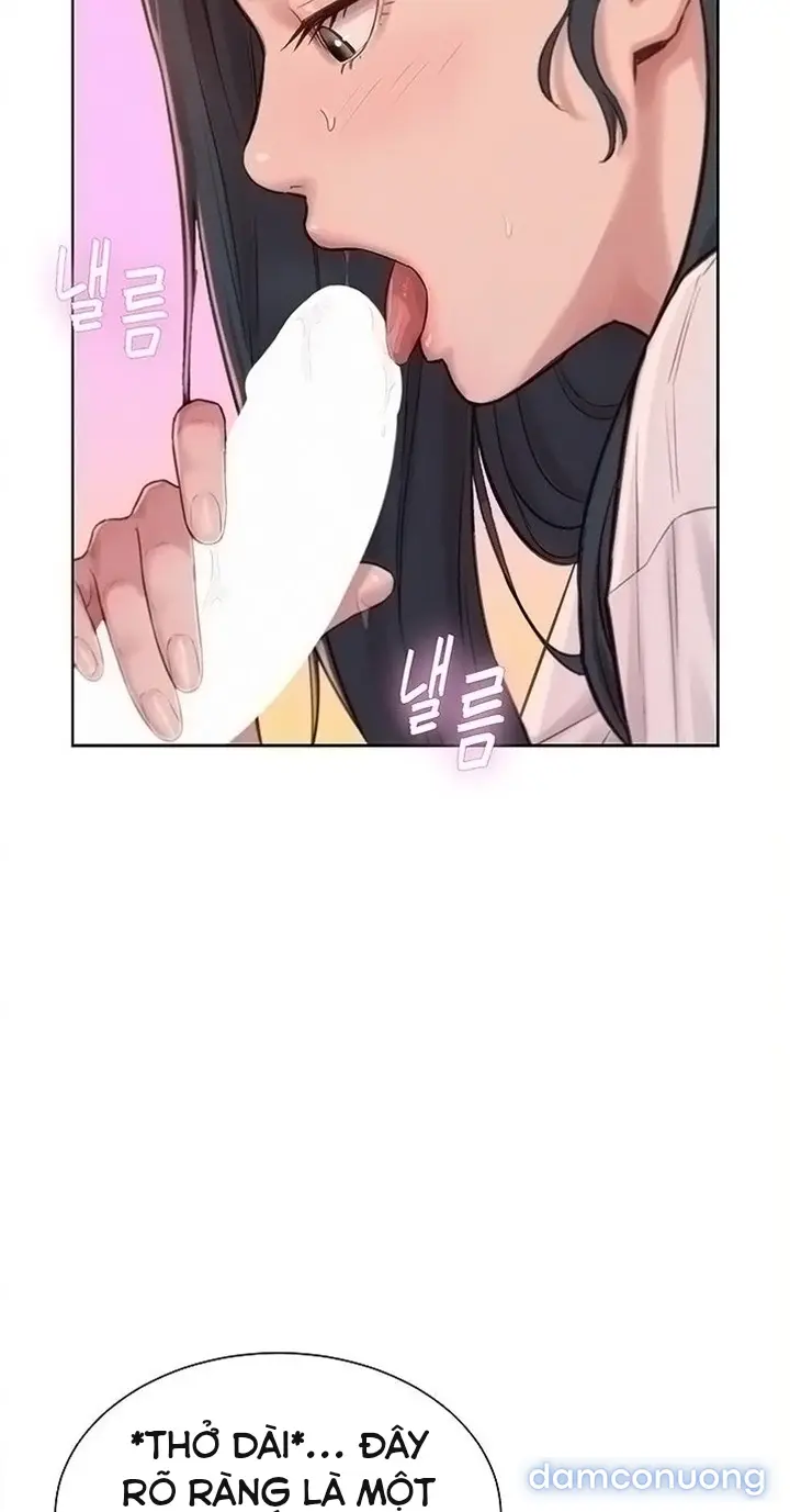 Harem tư bản 