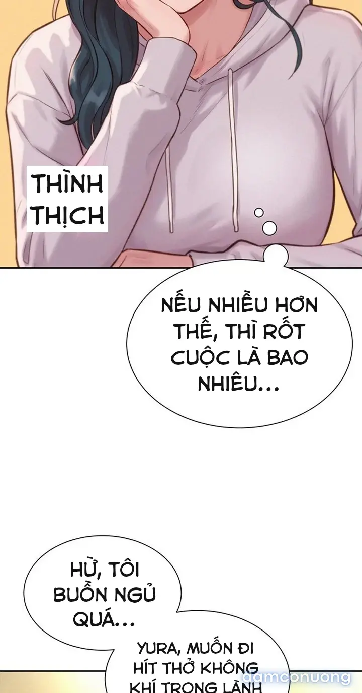 Harem tư bản 