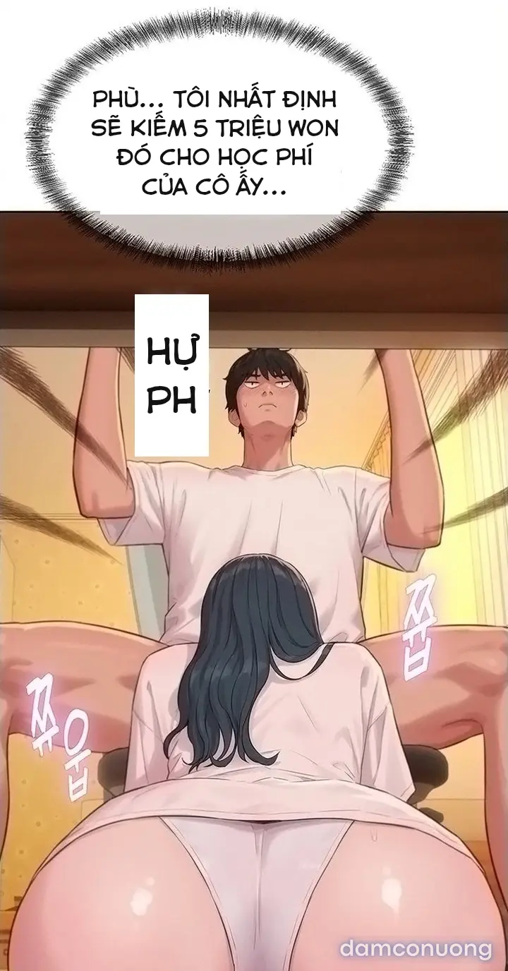 Harem tư bản 
