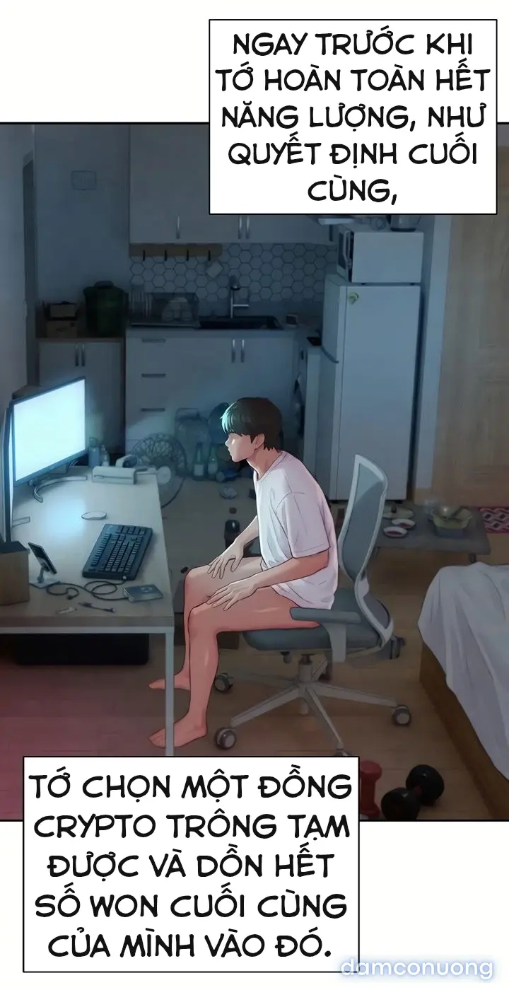 Harem tư bản 