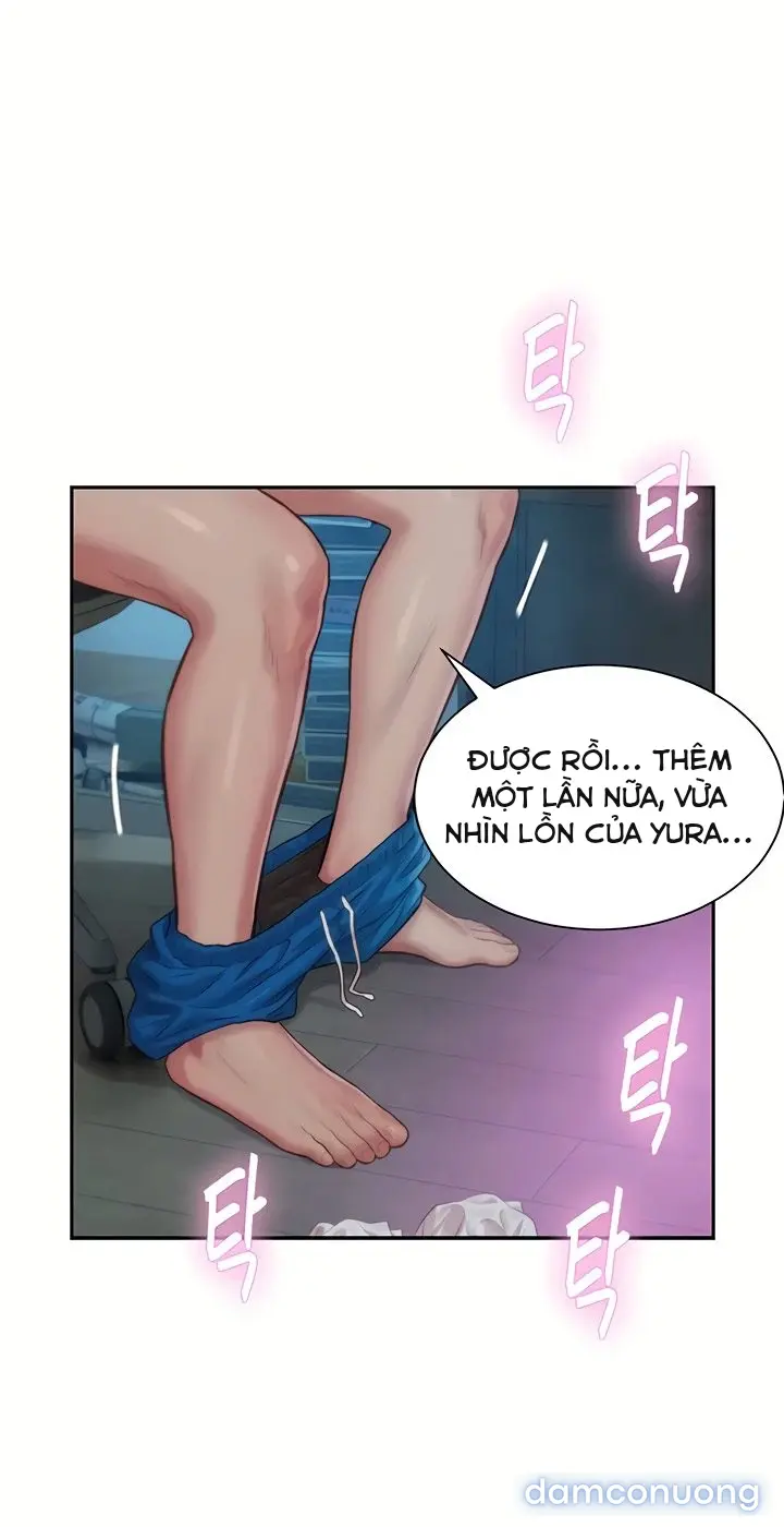Harem tư bản 