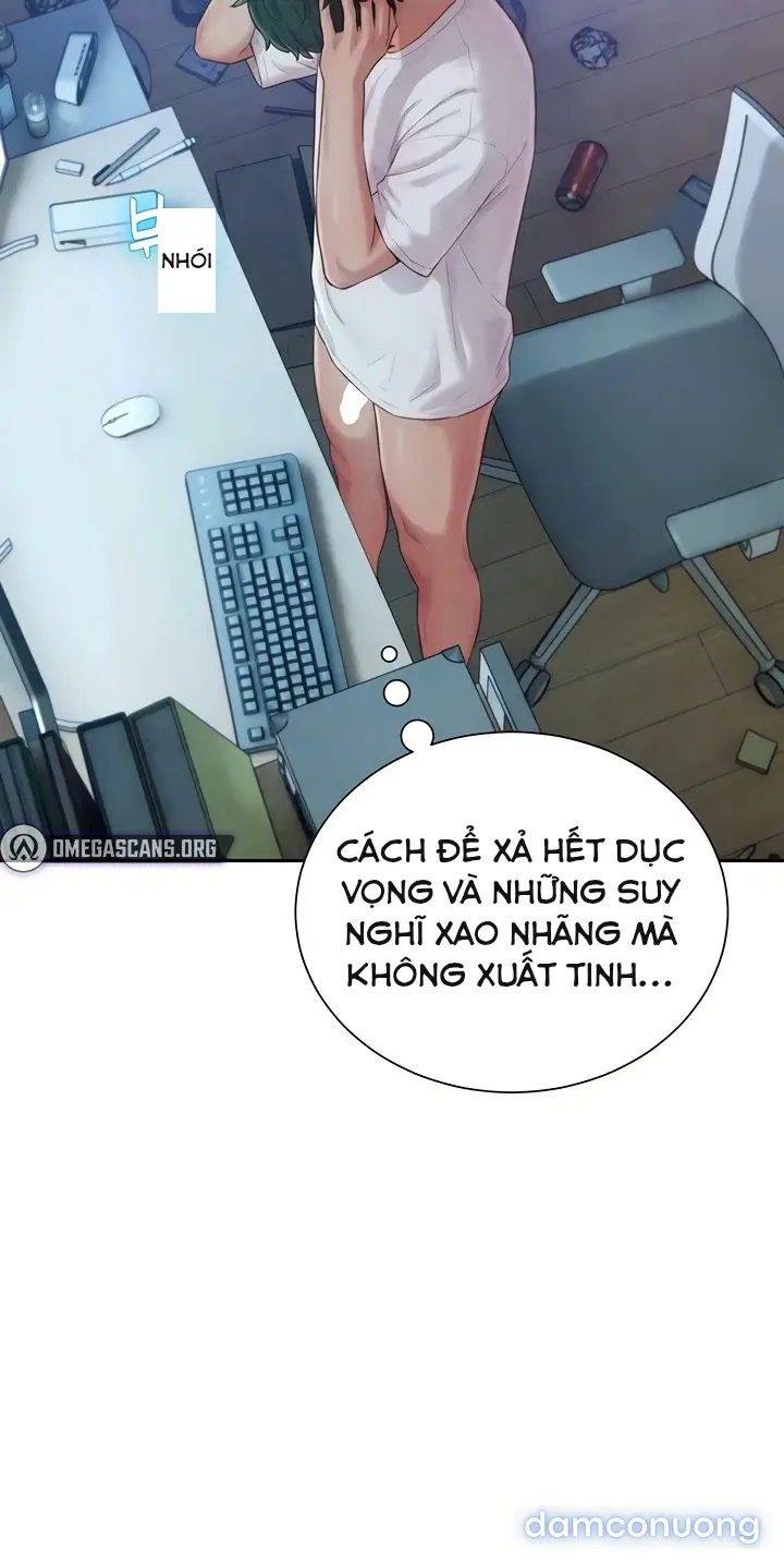 Harem tư bản 