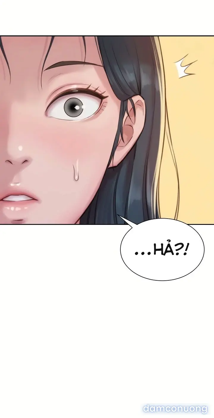 Harem tư bản 