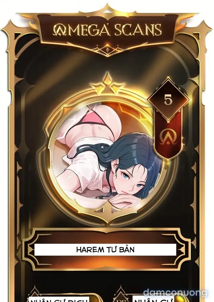 Harem tư bản 