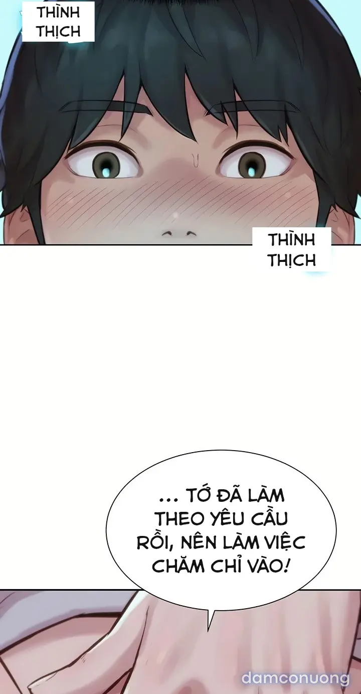 Harem tư bản 