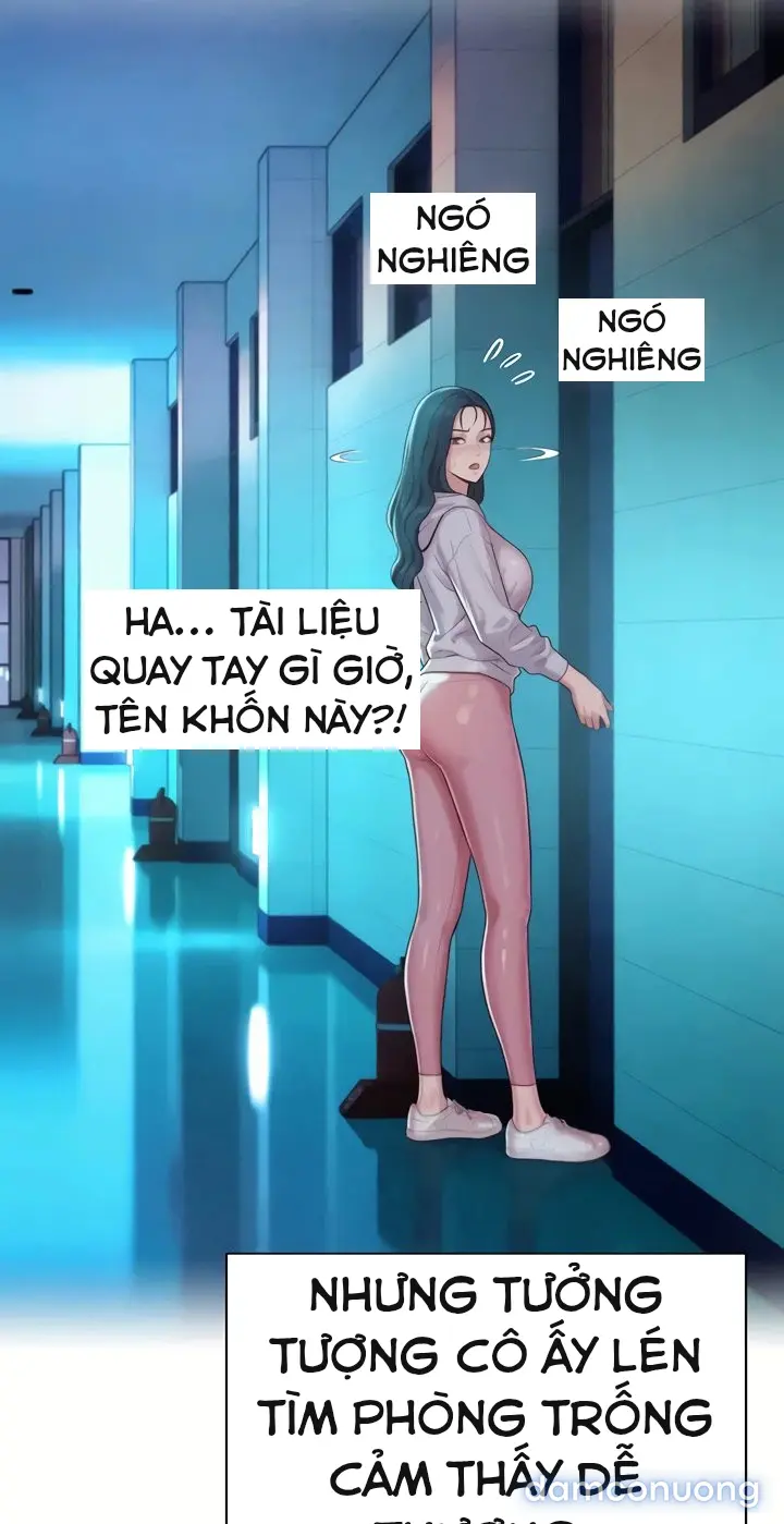 Harem tư bản 