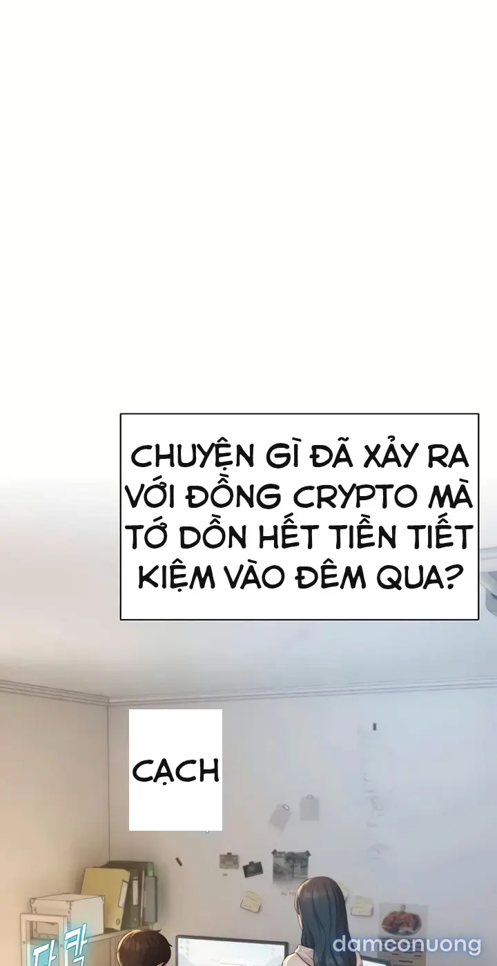 Harem tư bản 