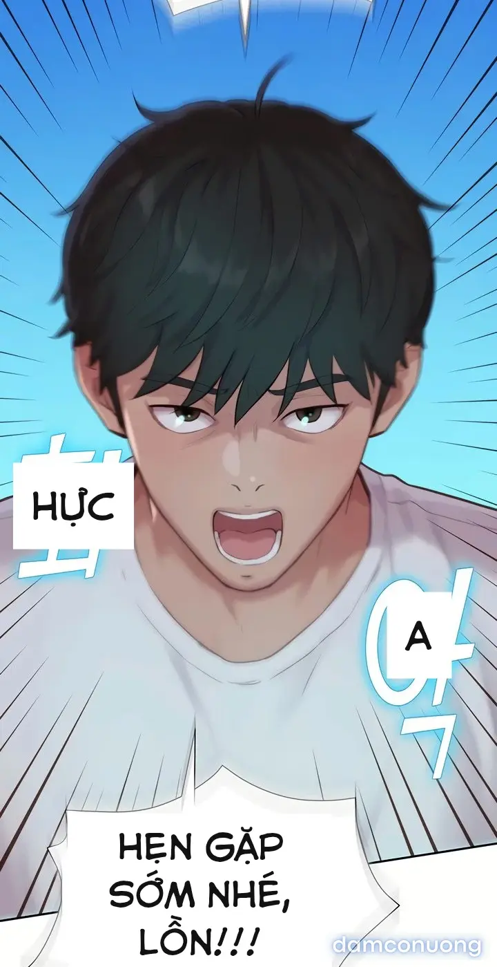 Harem tư bản 