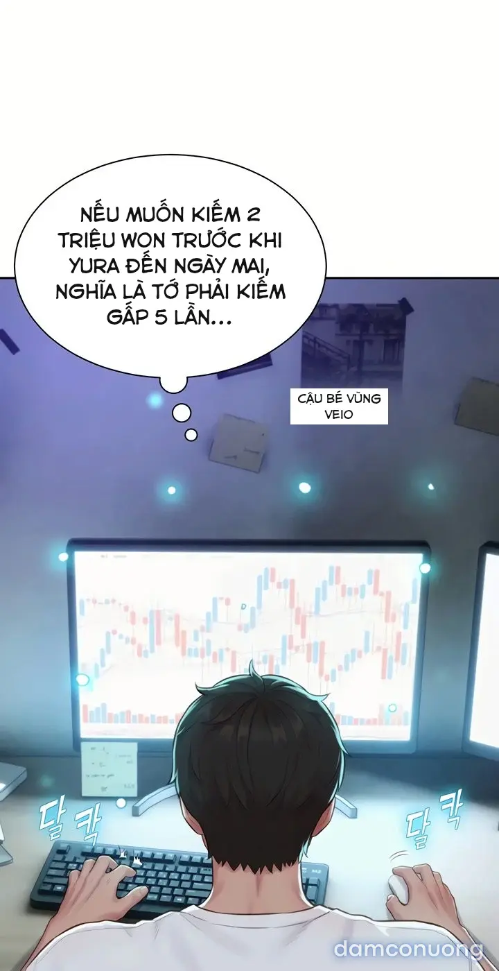 Harem tư bản 