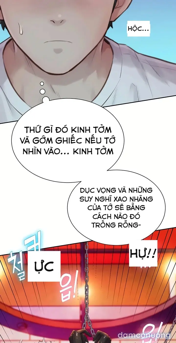 Harem tư bản 