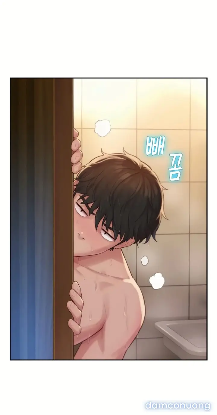 Harem tư bản 
