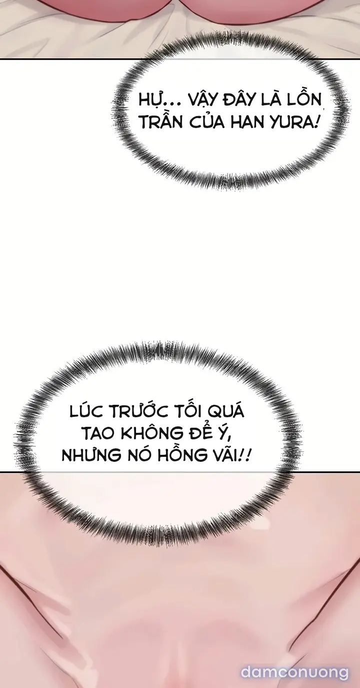 Harem tư bản 