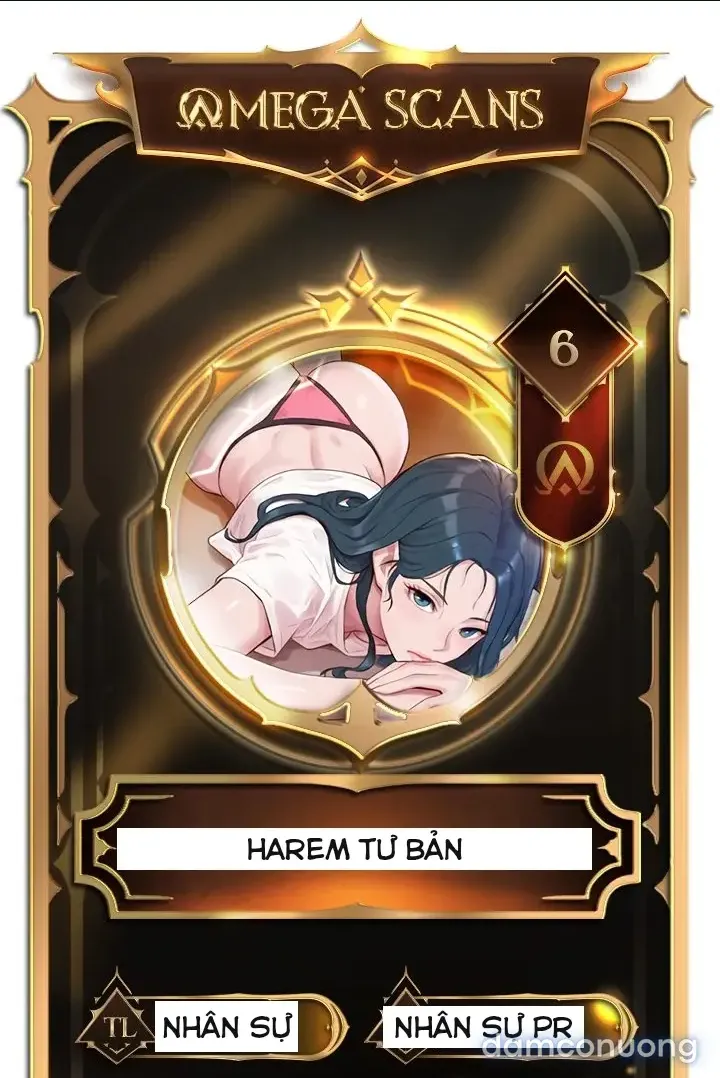 Harem tư bản 