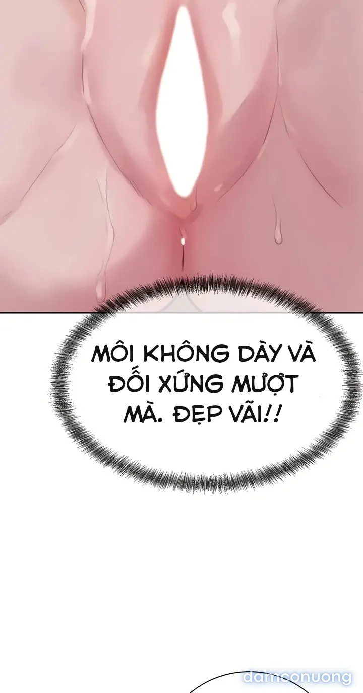 Harem tư bản 