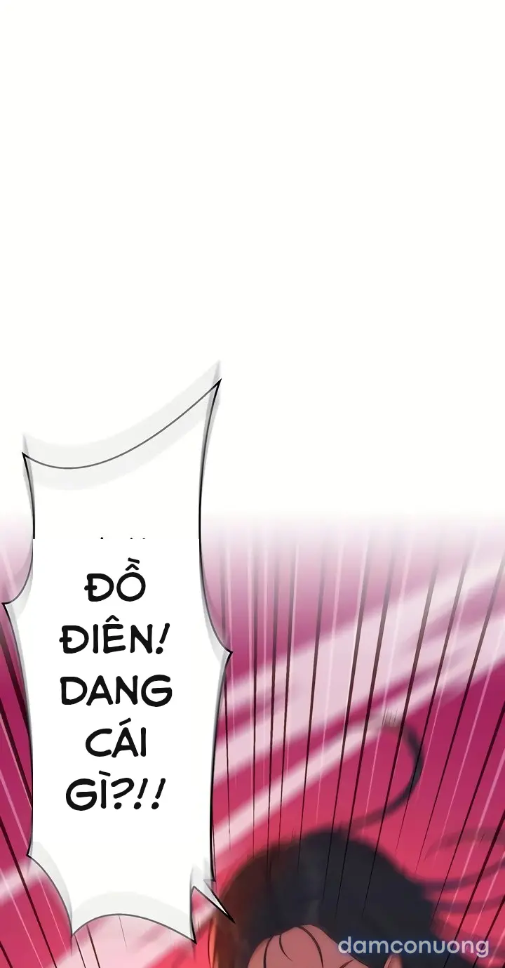 Harem tư bản 