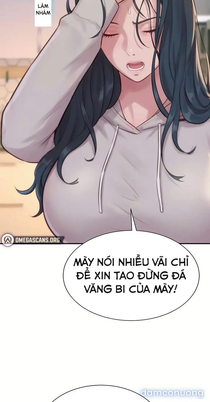 Harem tư bản 