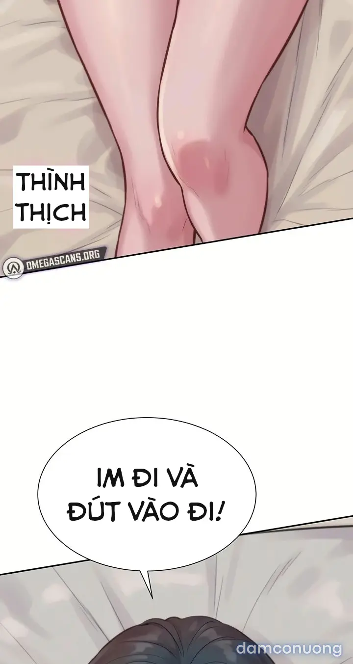Harem tư bản 