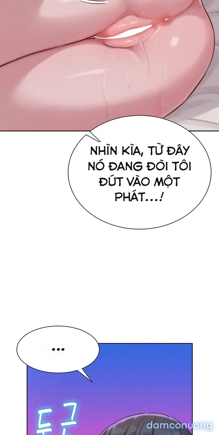 Harem tư bản 