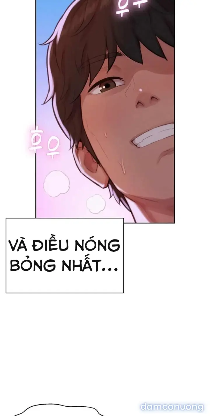 Harem tư bản 