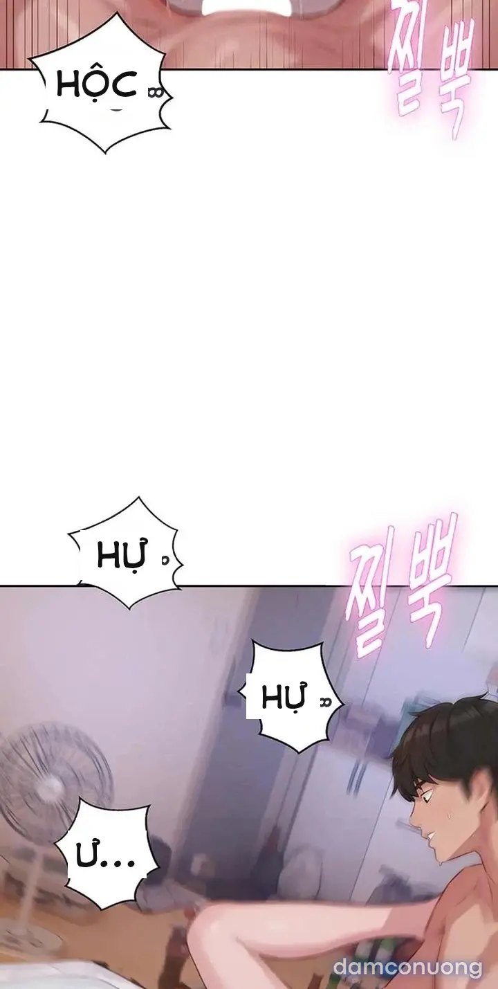 Harem tư bản 