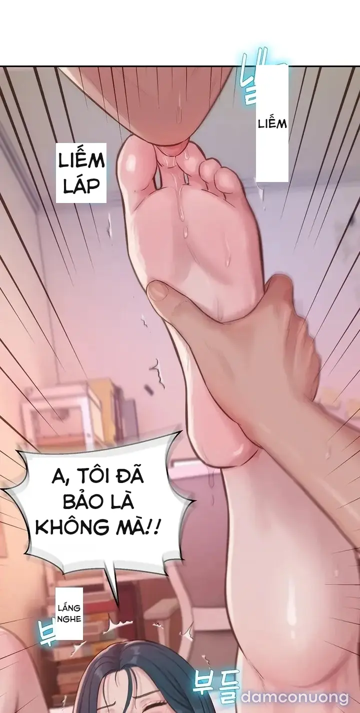 Harem tư bản 