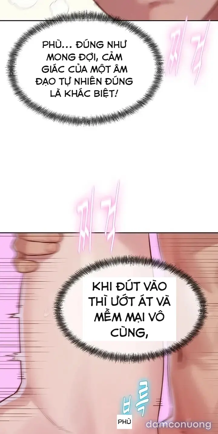 Harem tư bản 