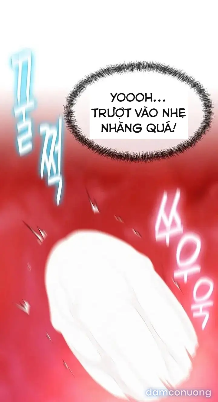 Harem tư bản 