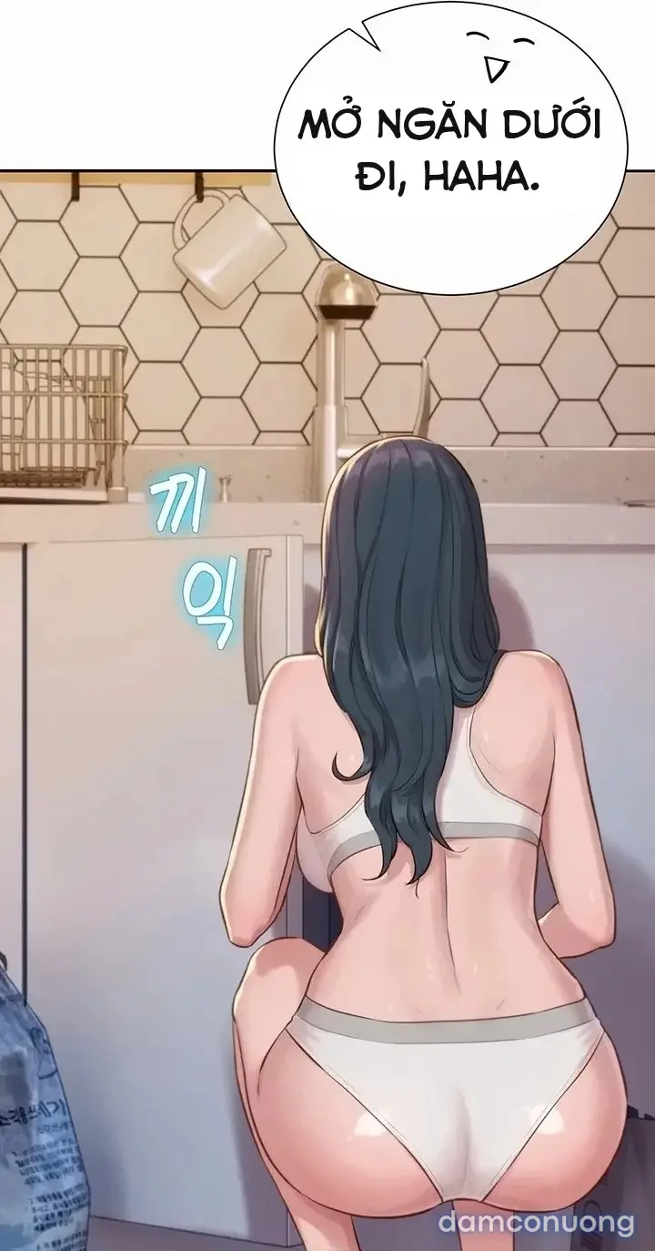 Harem tư bản 