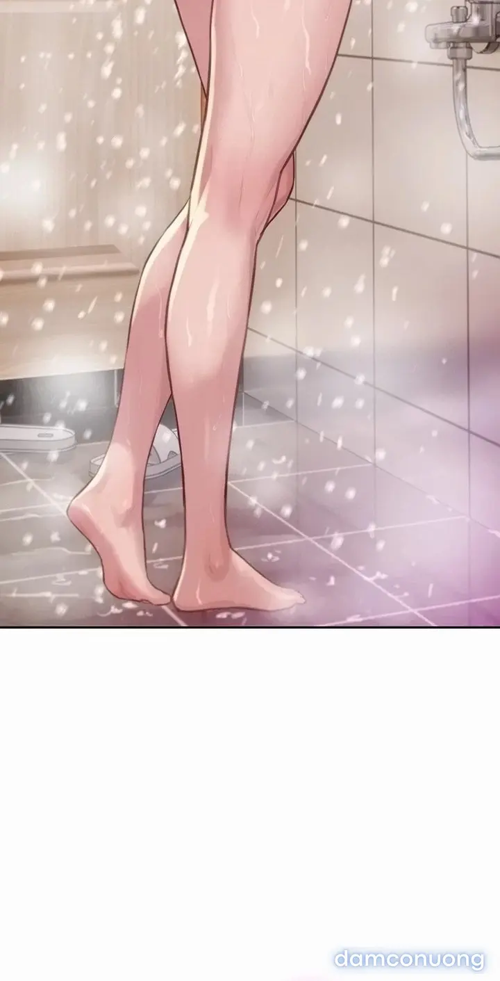 Harem tư bản 
