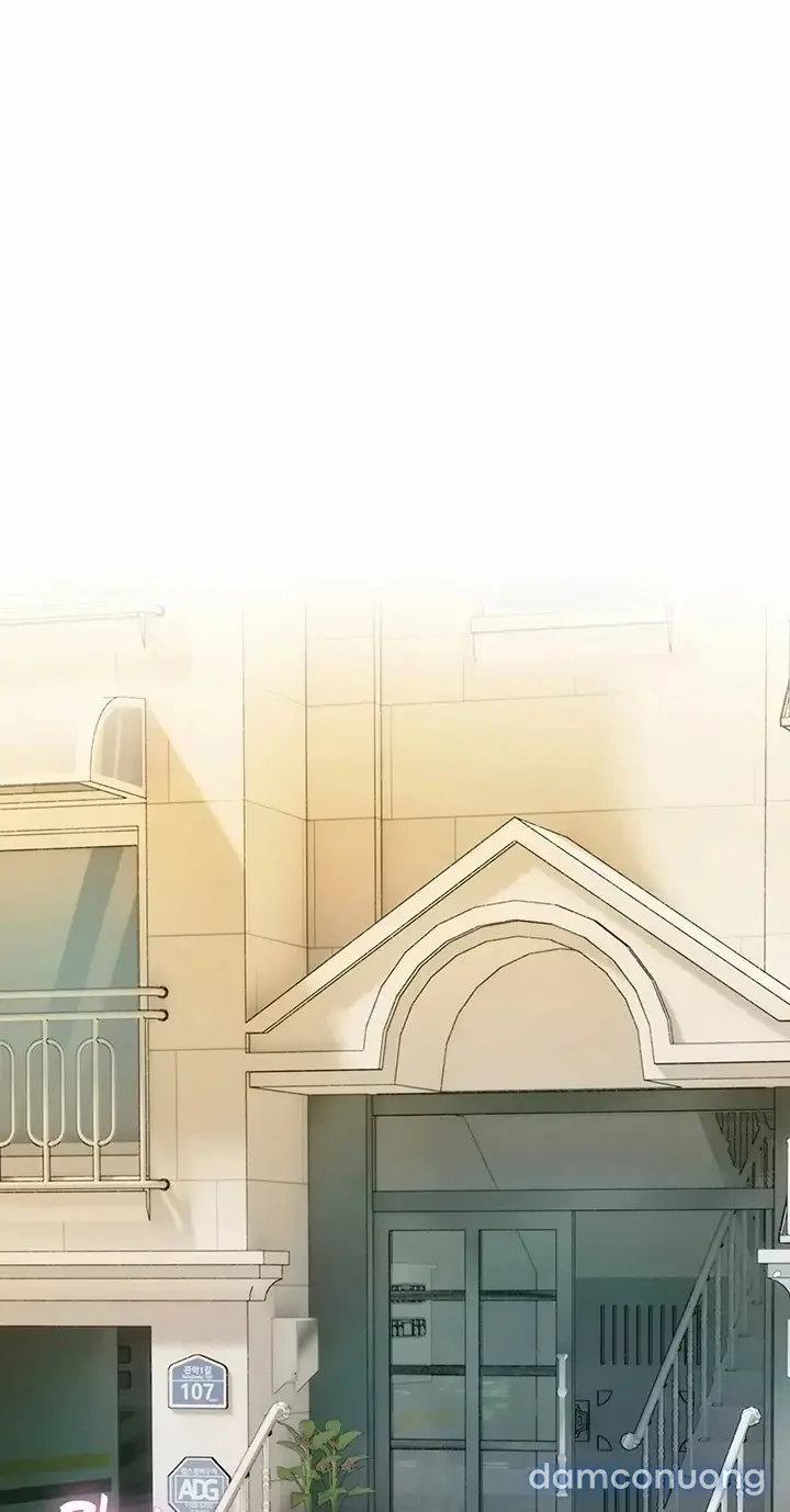 Harem tư bản 