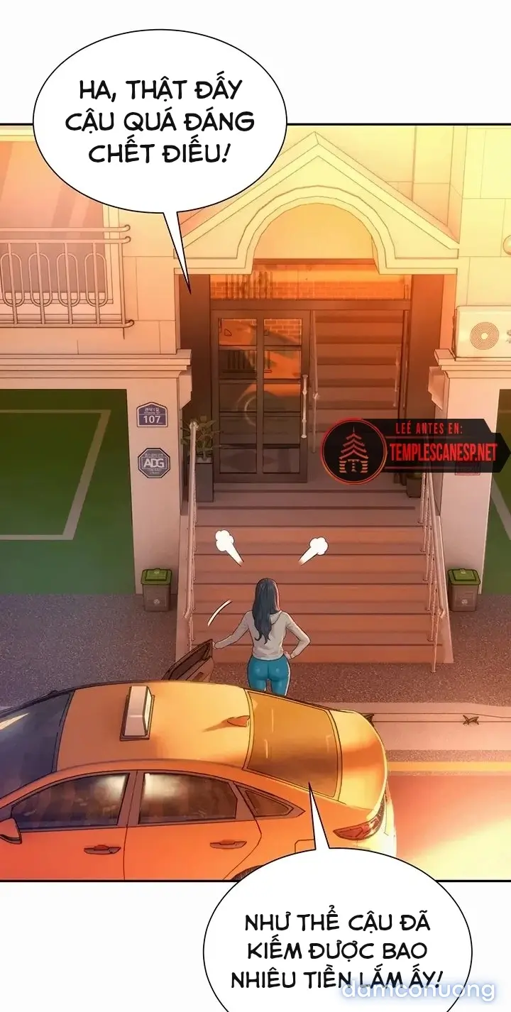 Harem tư bản 