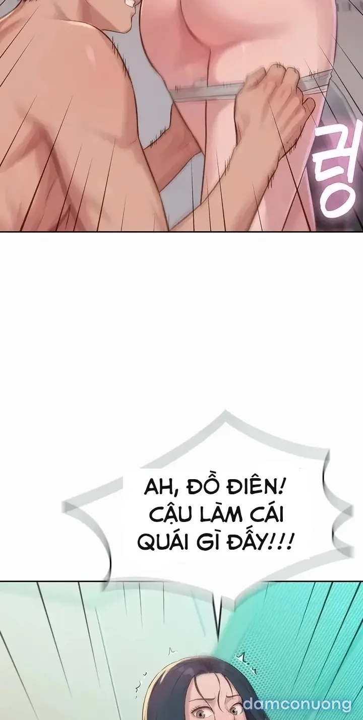 Harem tư bản 