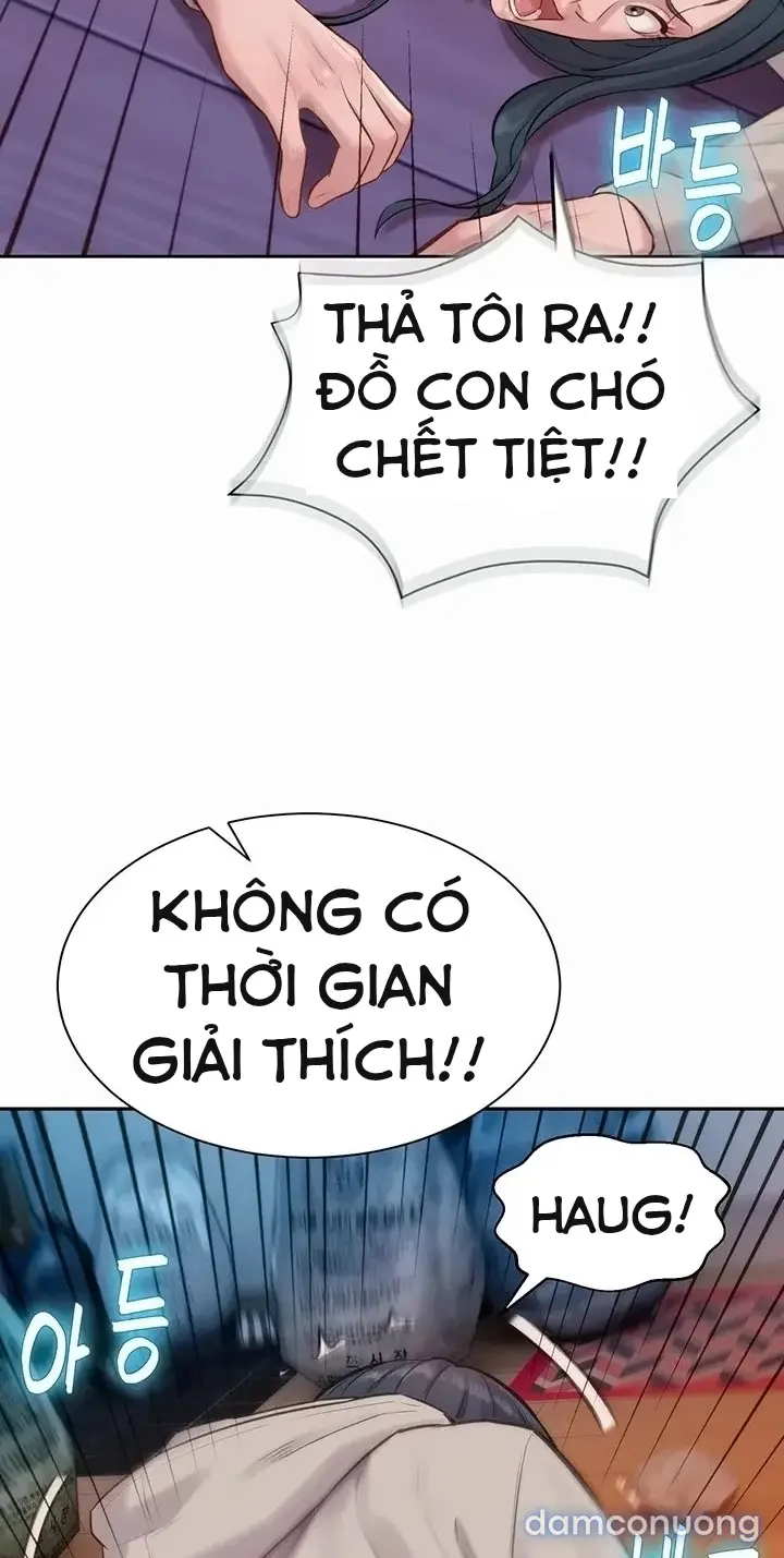 Harem tư bản 