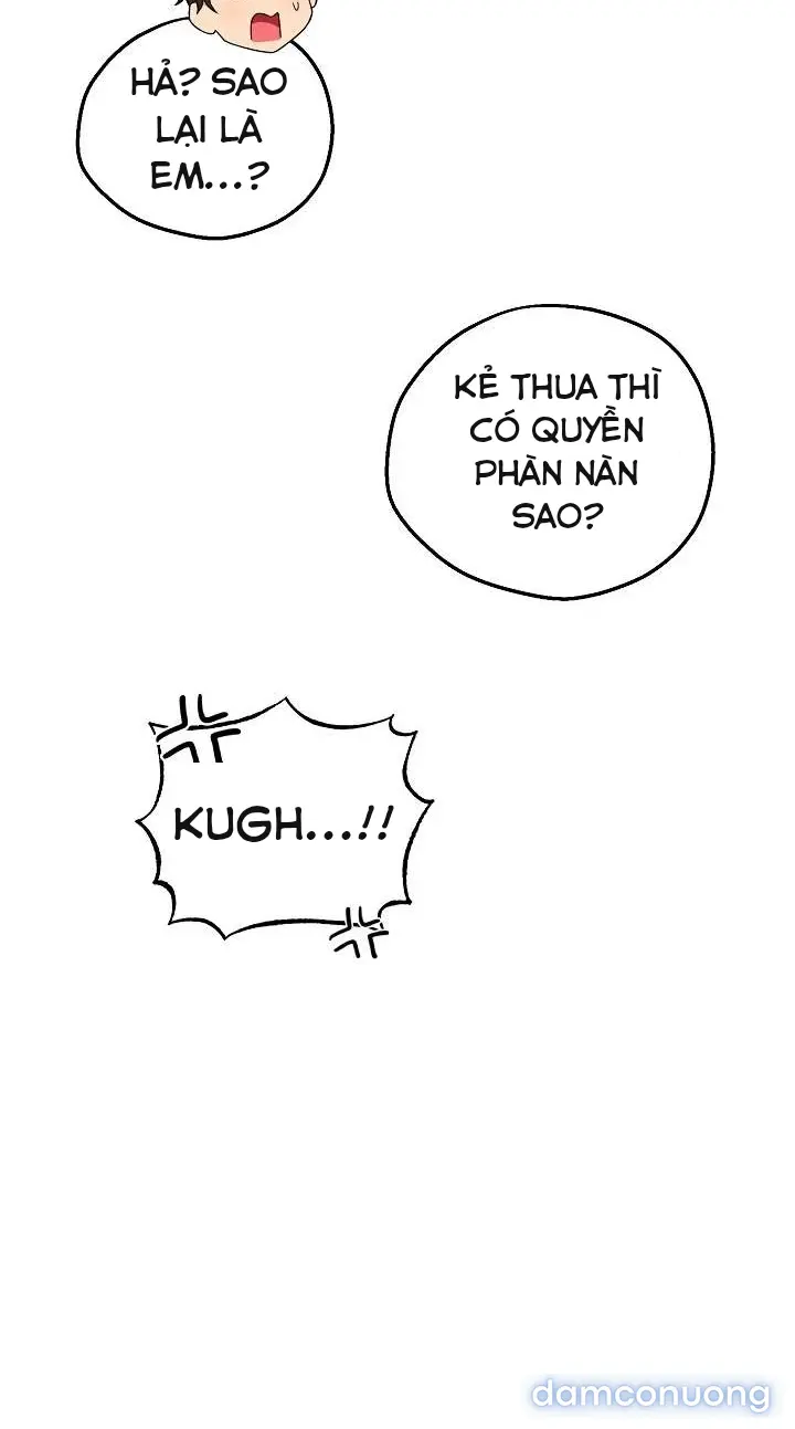 Trò chơi cờ bàn thú vị: 