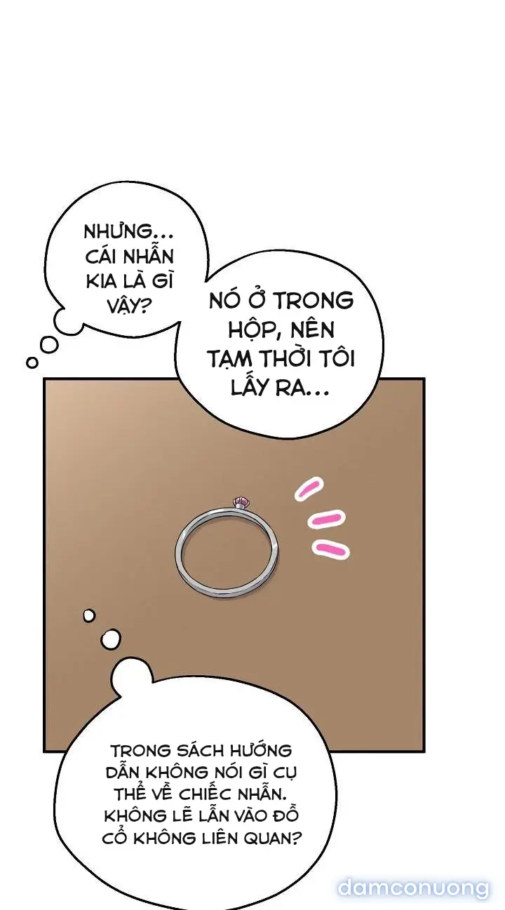 Trò chơi cờ bàn thú vị: 