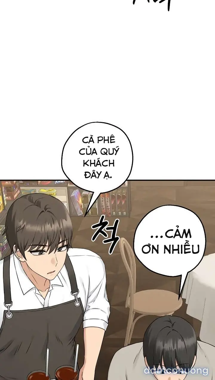 Trò chơi cờ bàn thú vị: 