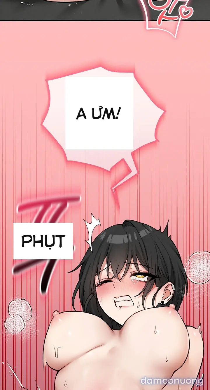 Trò chơi cờ bàn thú vị: 
