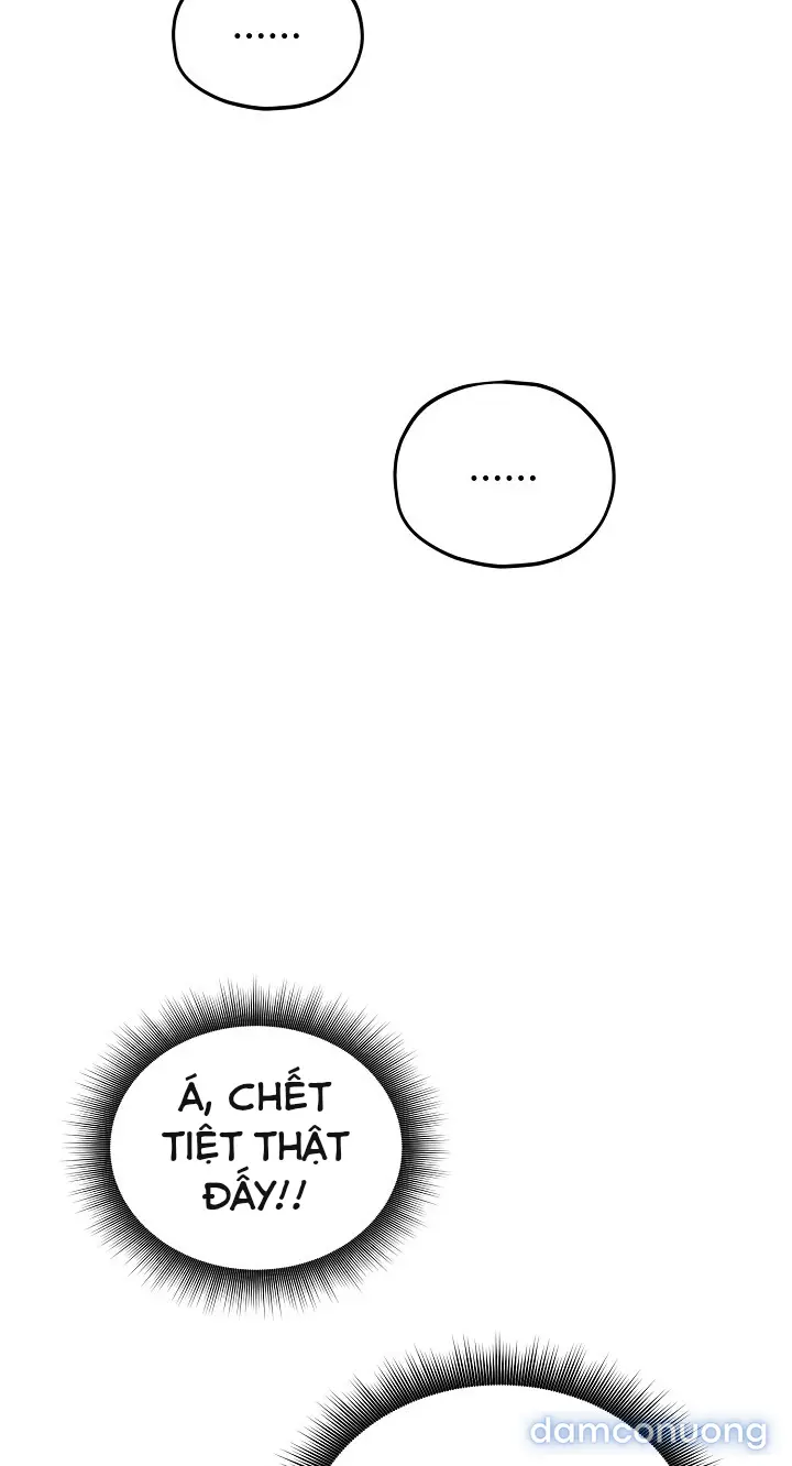 Trò chơi cờ bàn thú vị: 
