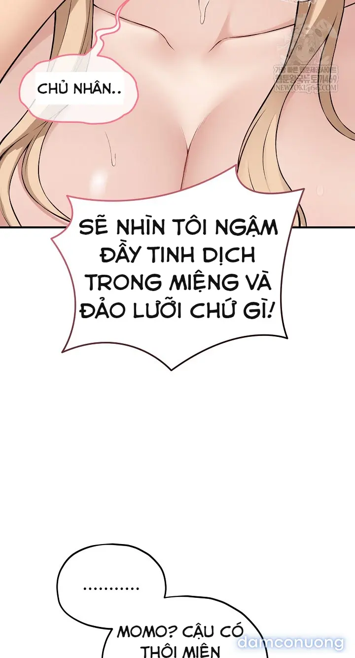 Trò chơi cờ bàn thú vị: 