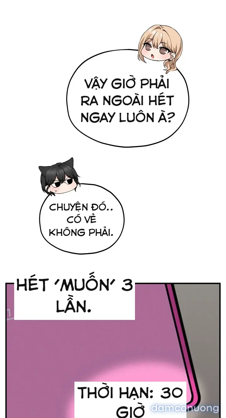 Trò chơi cờ bàn thú vị: 