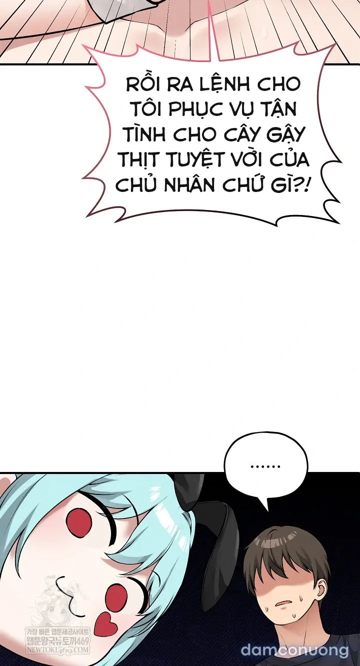 Trò chơi cờ bàn thú vị: 