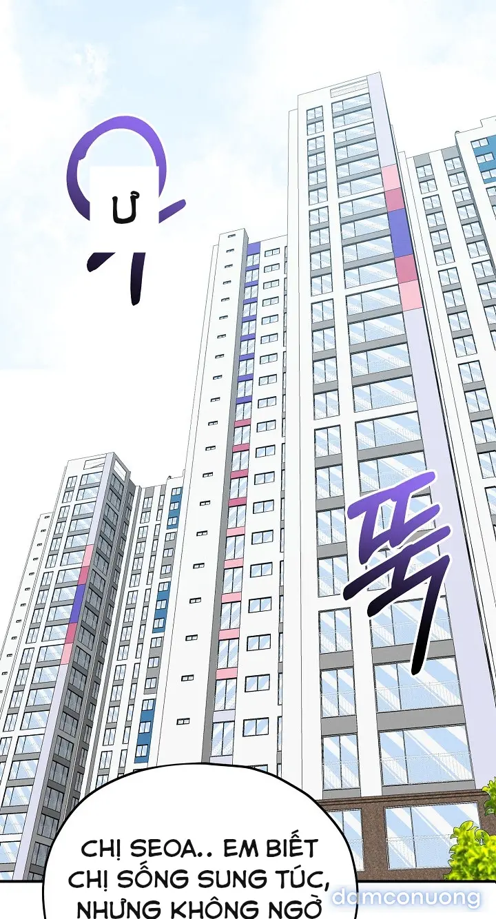 Trò chơi cờ bàn thú vị: 