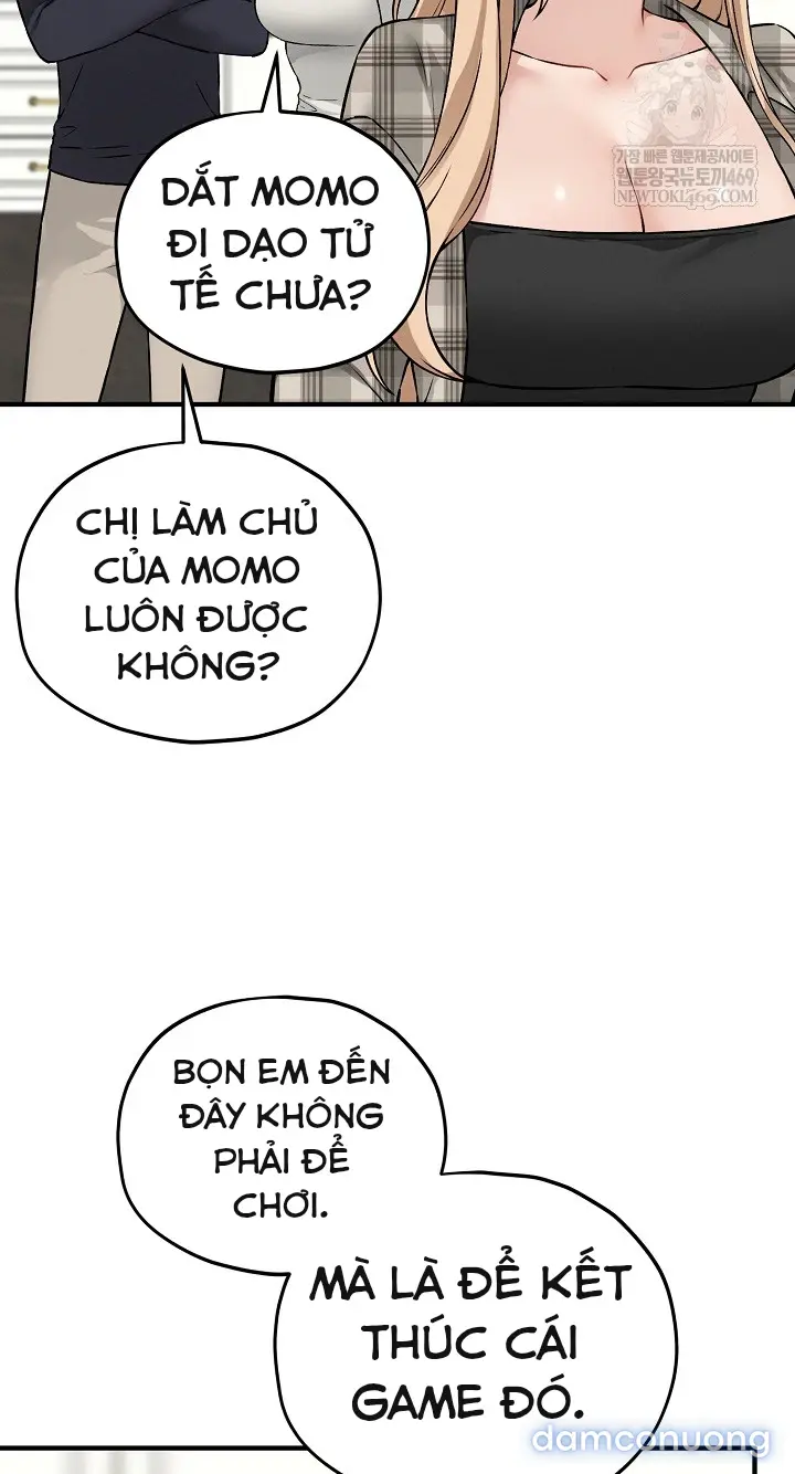 Trò chơi cờ bàn thú vị: 