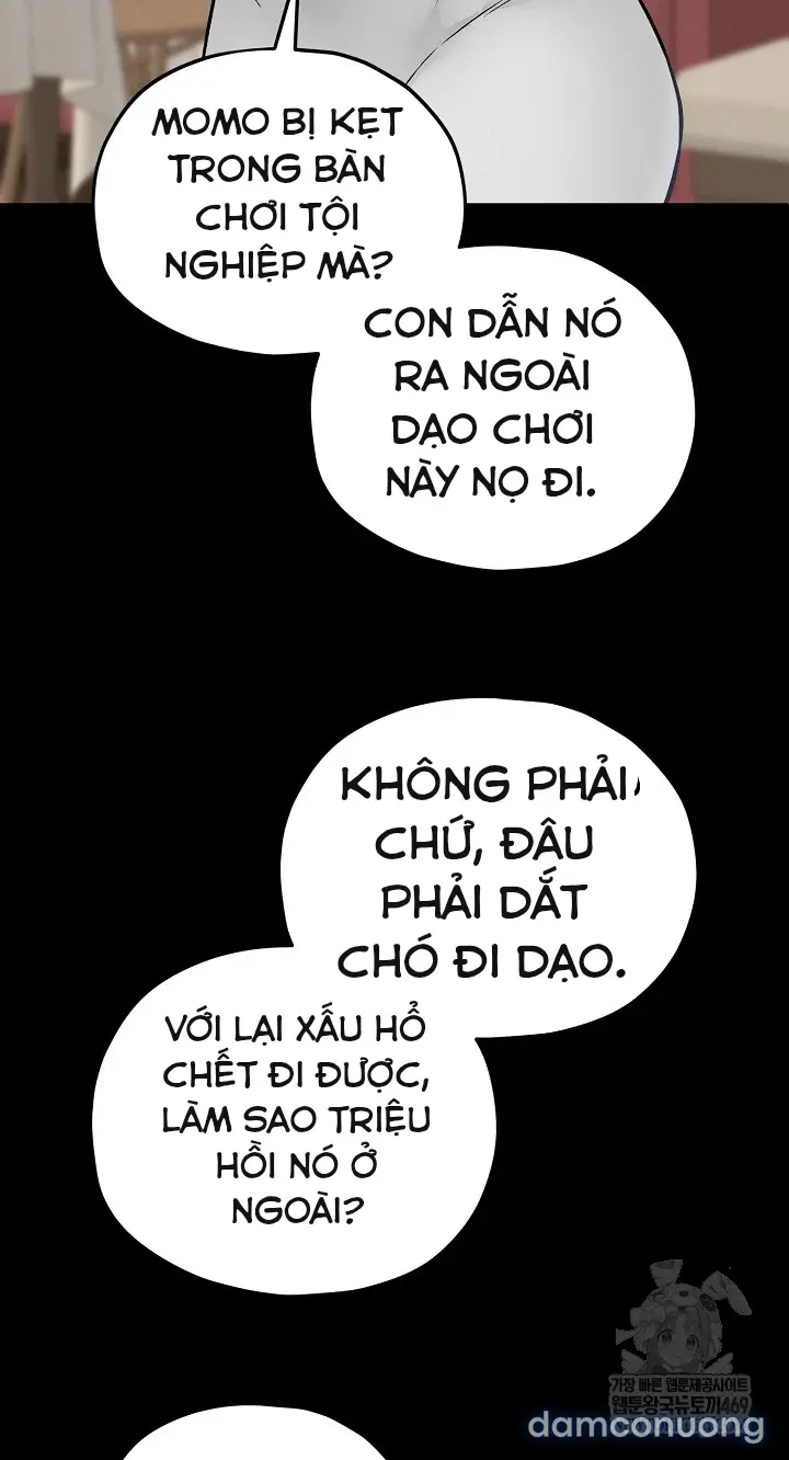 Trò chơi cờ bàn thú vị: 