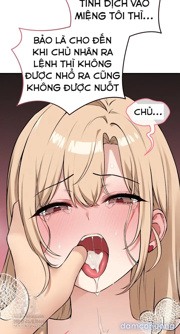 Trò chơi cờ bàn thú vị: 