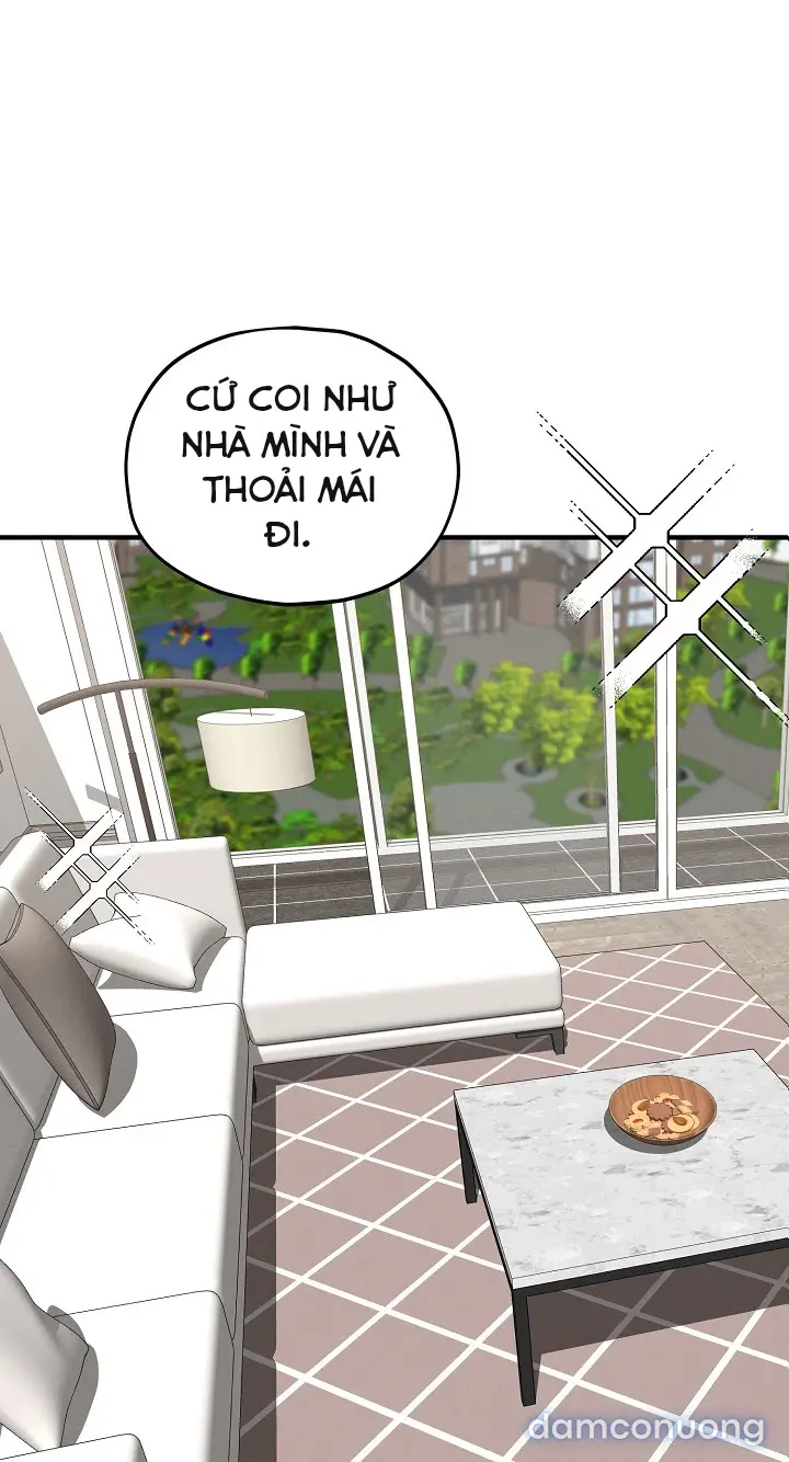 Trò chơi cờ bàn thú vị: 