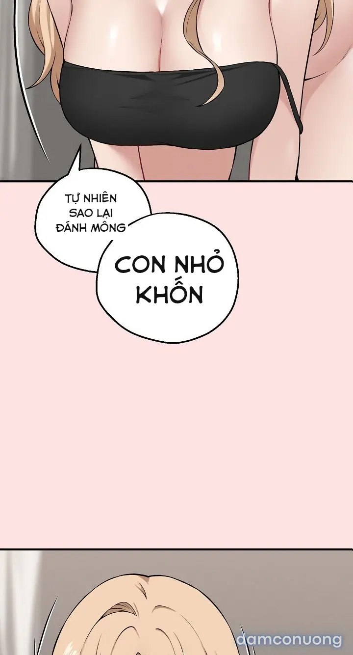 Trò chơi cờ bàn thú vị: 