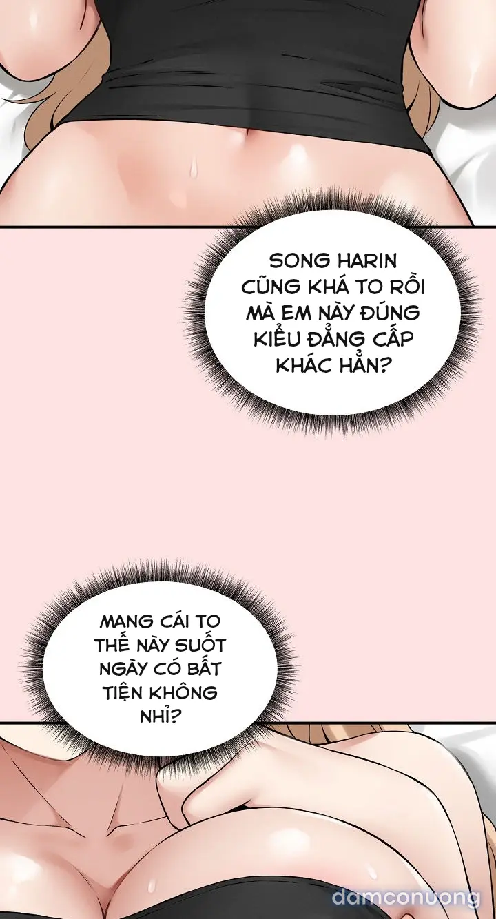 Trò chơi cờ bàn thú vị: 