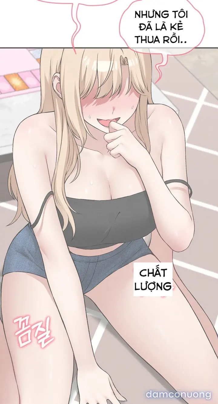 Trò chơi cờ bàn thú vị: 